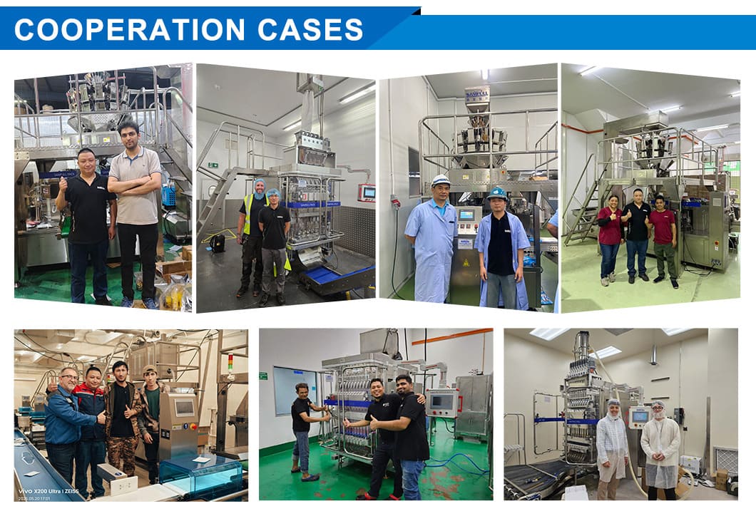 Professional Manufacturer